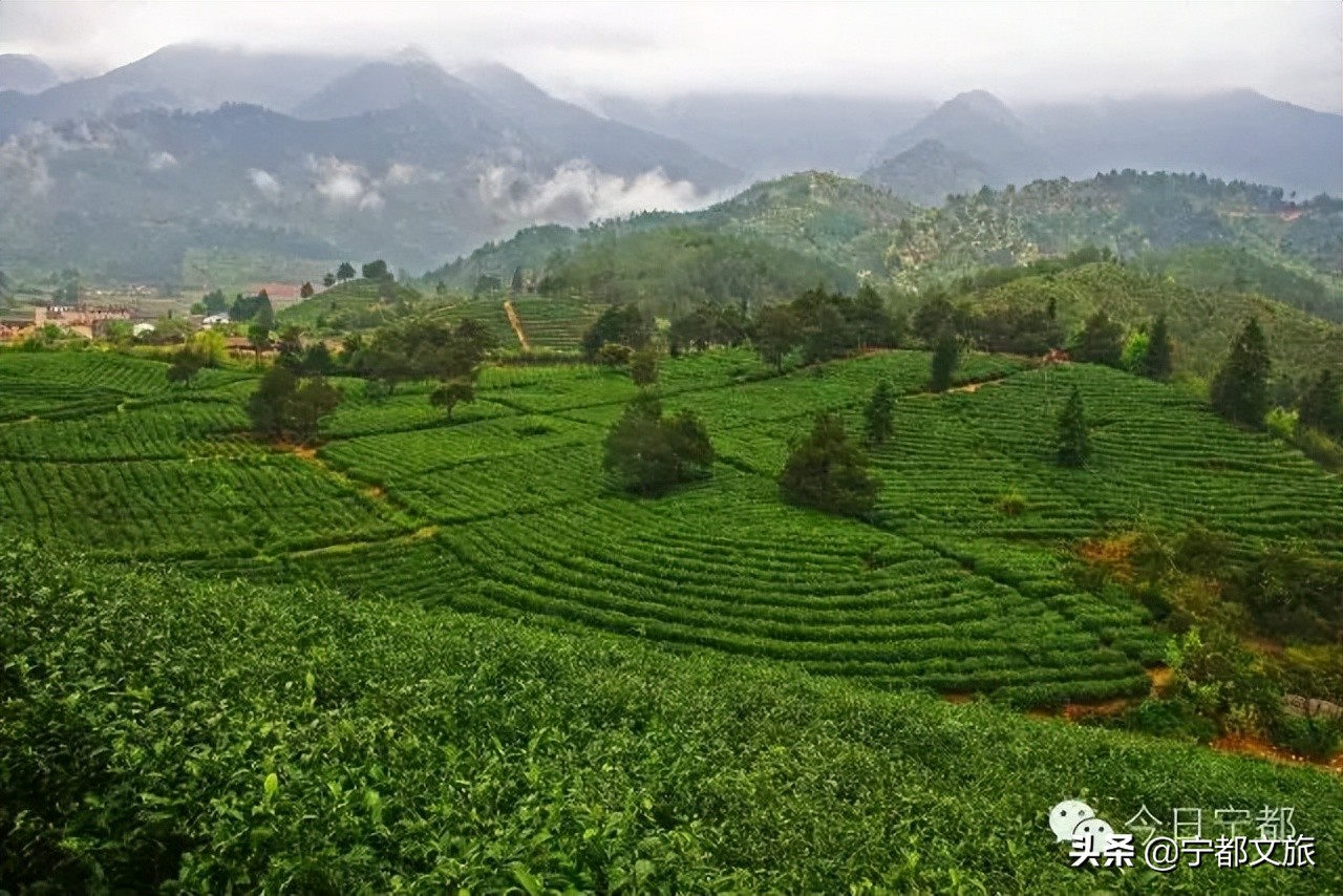 宁都小布景点,宁都县小布镇