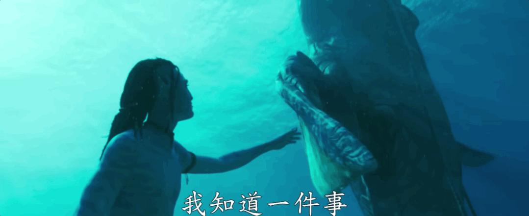 阿凡达2剧情有逻辑硬伤吗,阿凡达2的5个逻辑硬伤