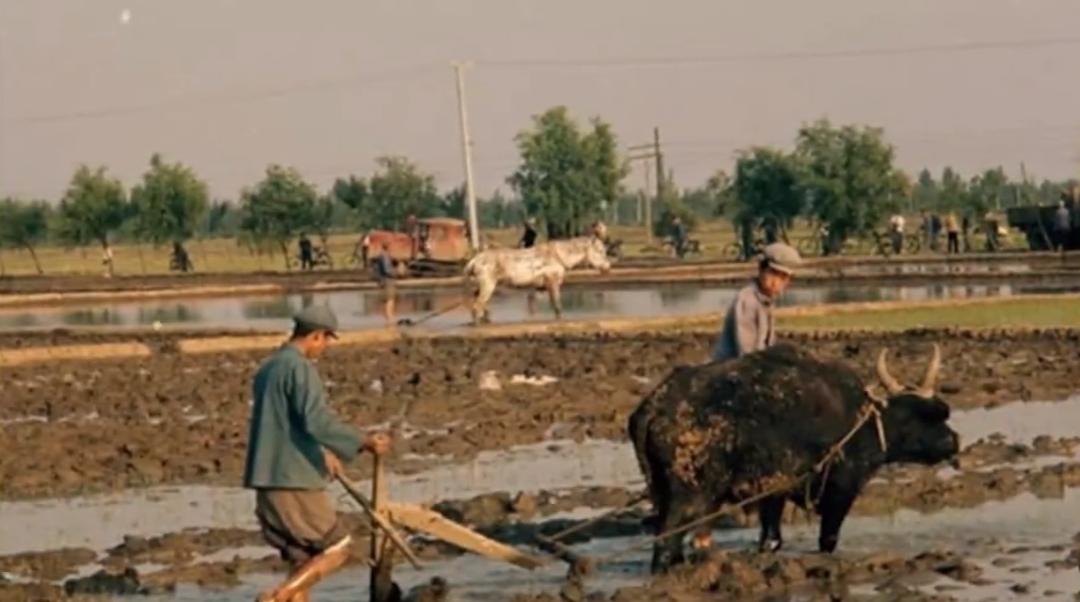 保安怎么当警察,保安可以升警察吗