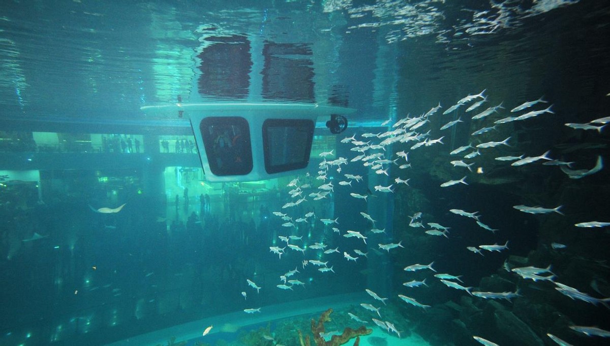 吃兔头喝椰汁,吃兔头和无骨鸡爪