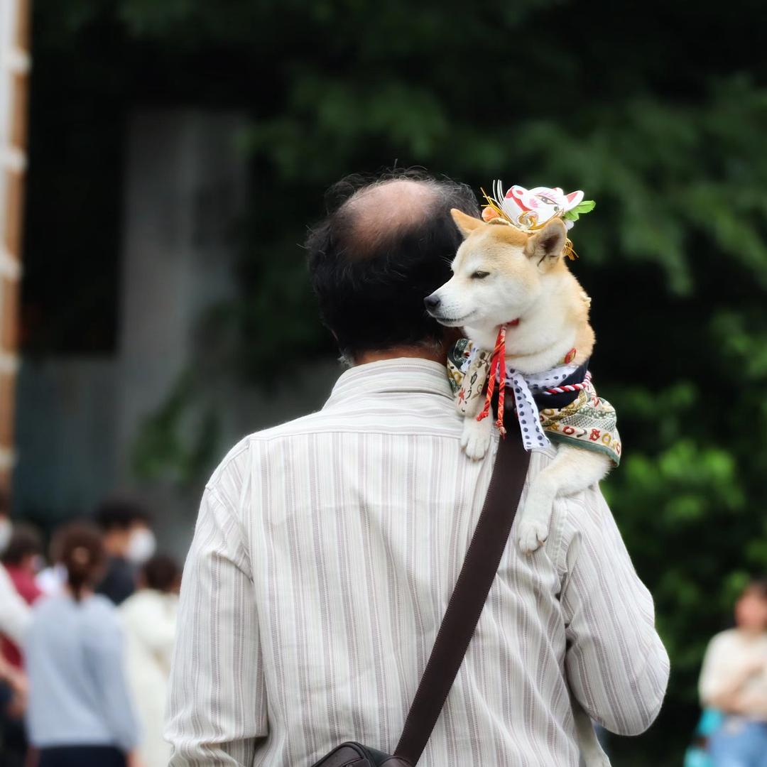 日本东京浅草寺体验,东京浅草寺注意事项