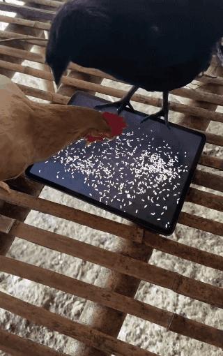 劝人不要谈恋爱的幽默句子,不谈恋爱的正能量语录