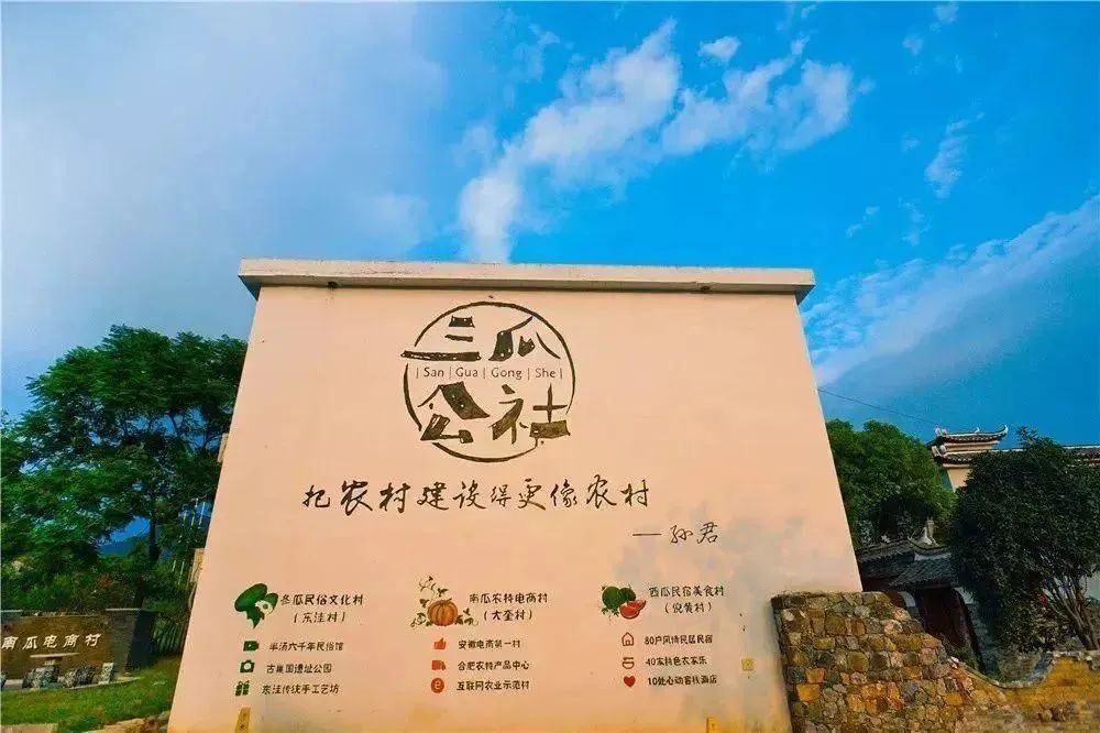 城郊村乡村振兴示范村典型案例,乡村振兴与旅游结合的优秀案例