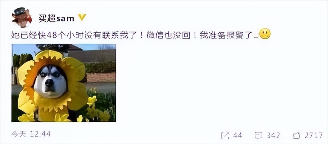 张嘉倪空壳太太,空壳太太