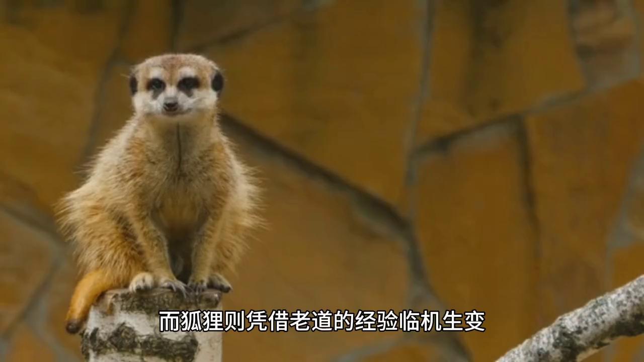 故事分享平台,故事分享精彩