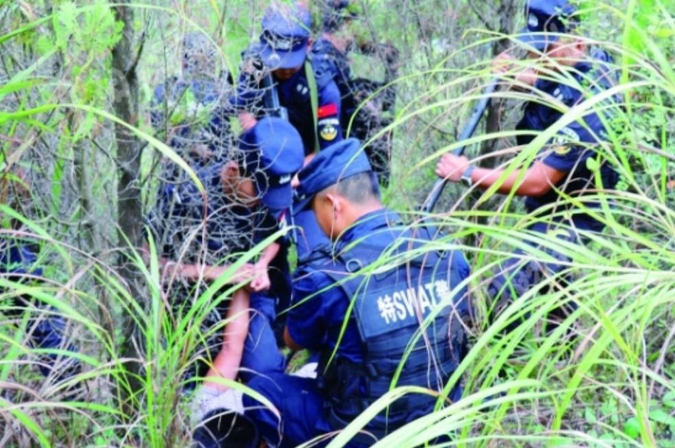 2岁儿童和狗失踪找到了吗,三岁女孩与狗狗一起失踪