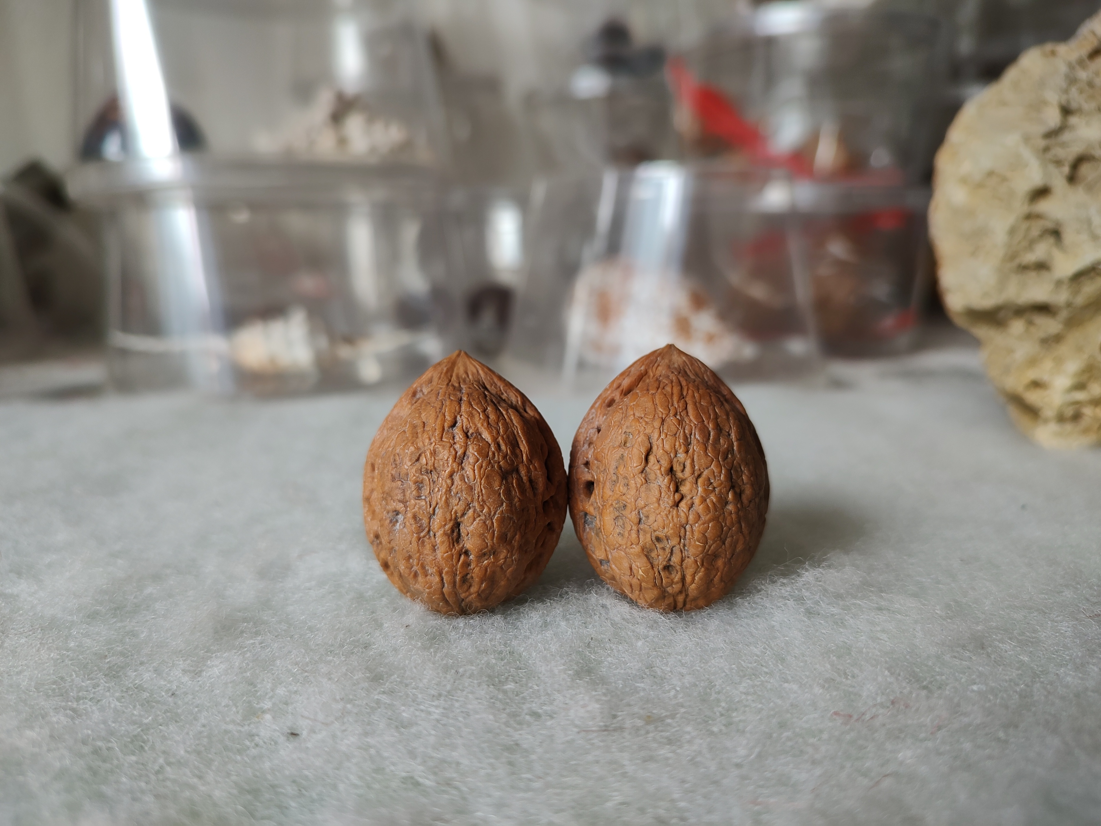 风氏文玩收藏馆：铁核桃——大理鸡心