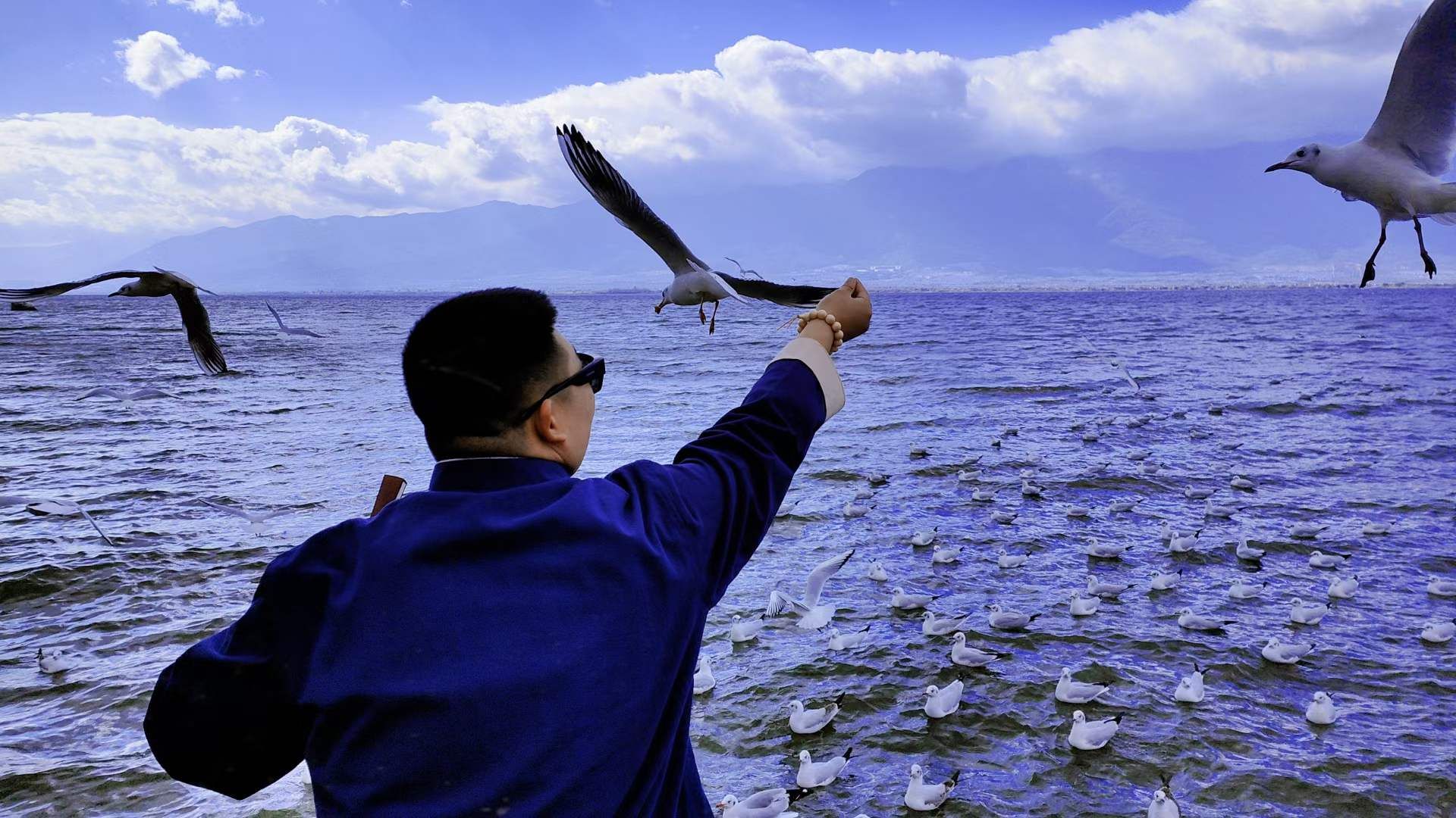 宠物行业和母婴行业,宠物行业与母婴行业对比