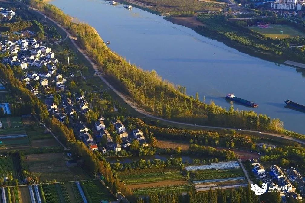 东西湖哪个片区发展有潜力,东西湖哪个片区潜力最大