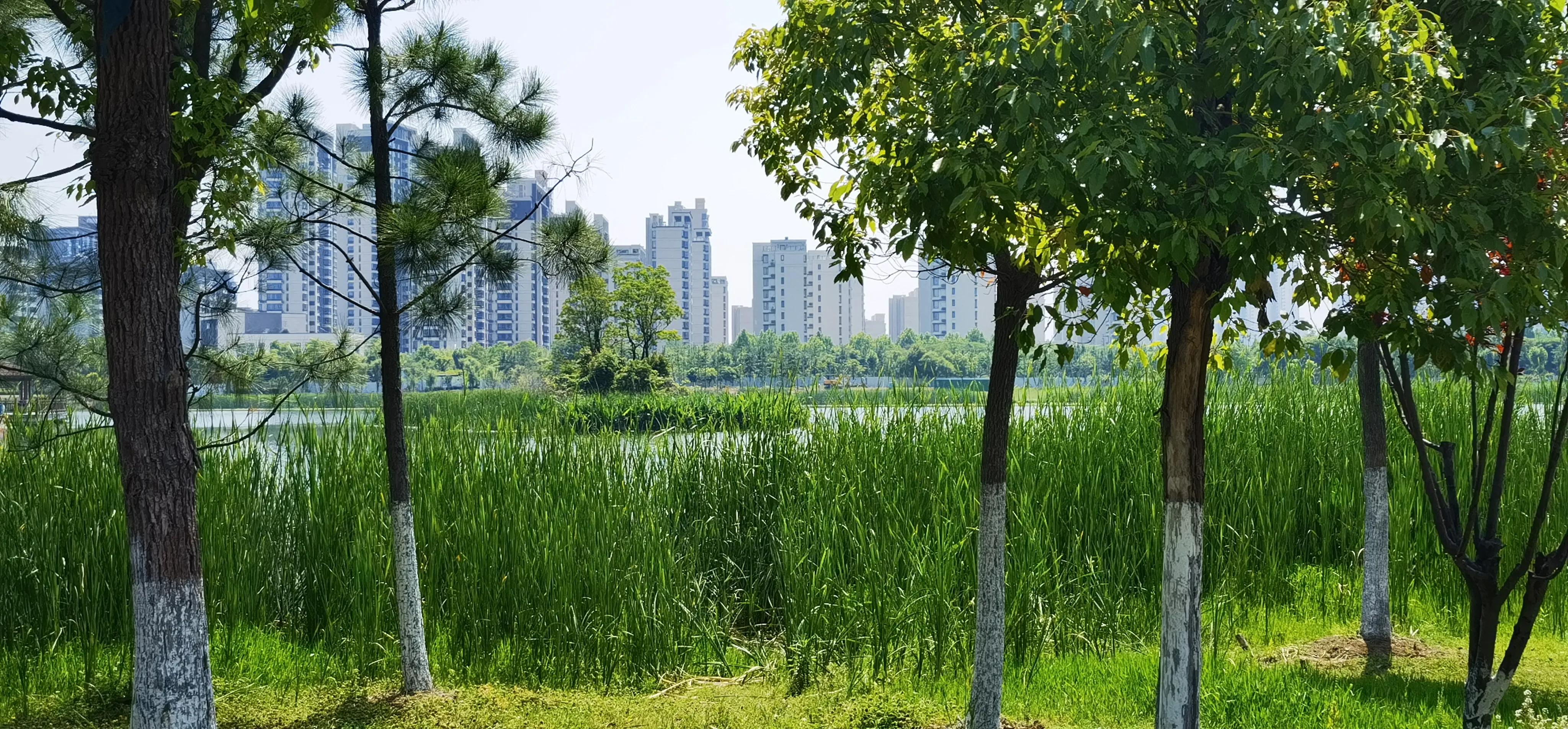 合肥附近带两个娃去哪里玩,推荐带娃好去处周末合肥