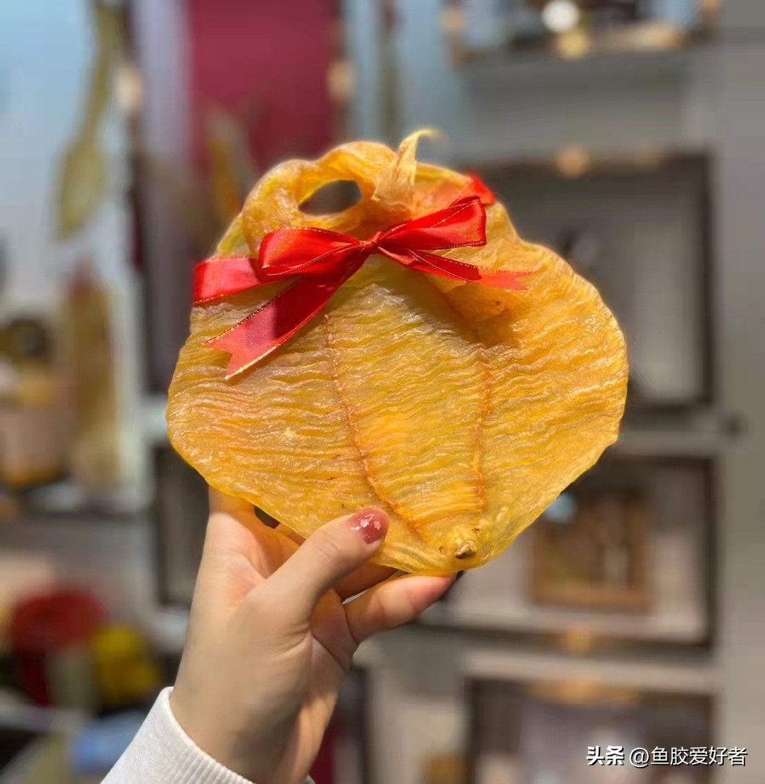 鱼胶一般都是哪里进口的,国外鱼胶哪里最便宜