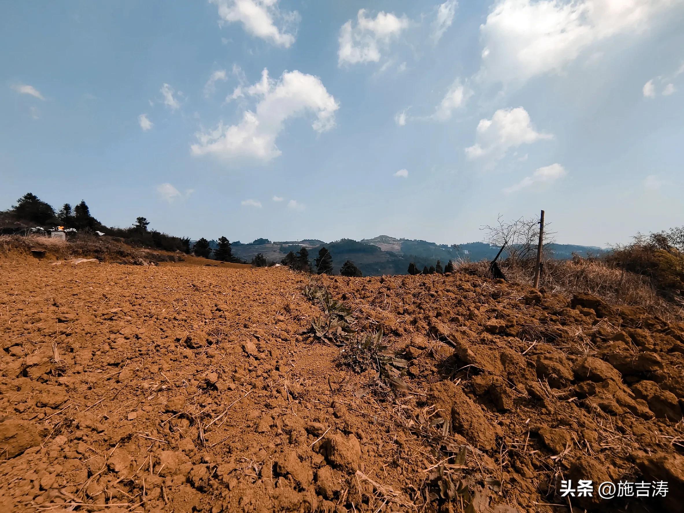 环游世界是理想还是梦想,环游世界守护自己