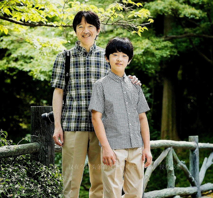 日本皇室绝嗣危机,日本皇族面临子嗣断绝的危机