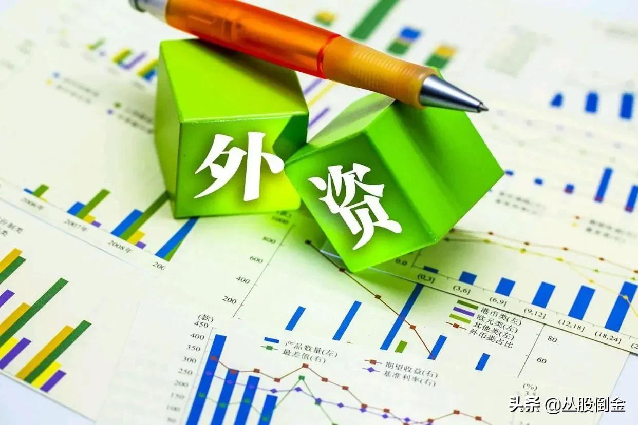 对当前中国股市的深度分析,专家谈a股持续调整