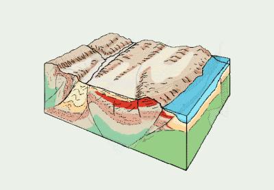 如何了解武夷山茶,探寻武夷