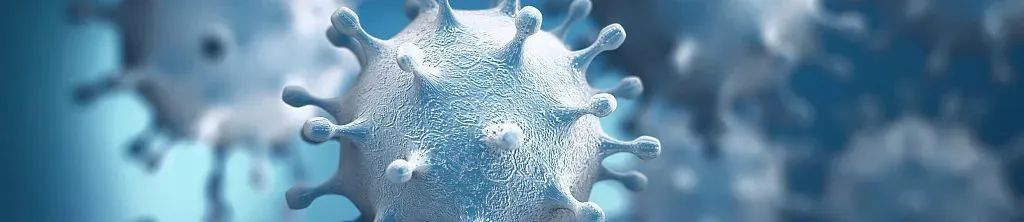 上海疫情通风管道封闭多久,上海疫情暴露住宅的优缺点