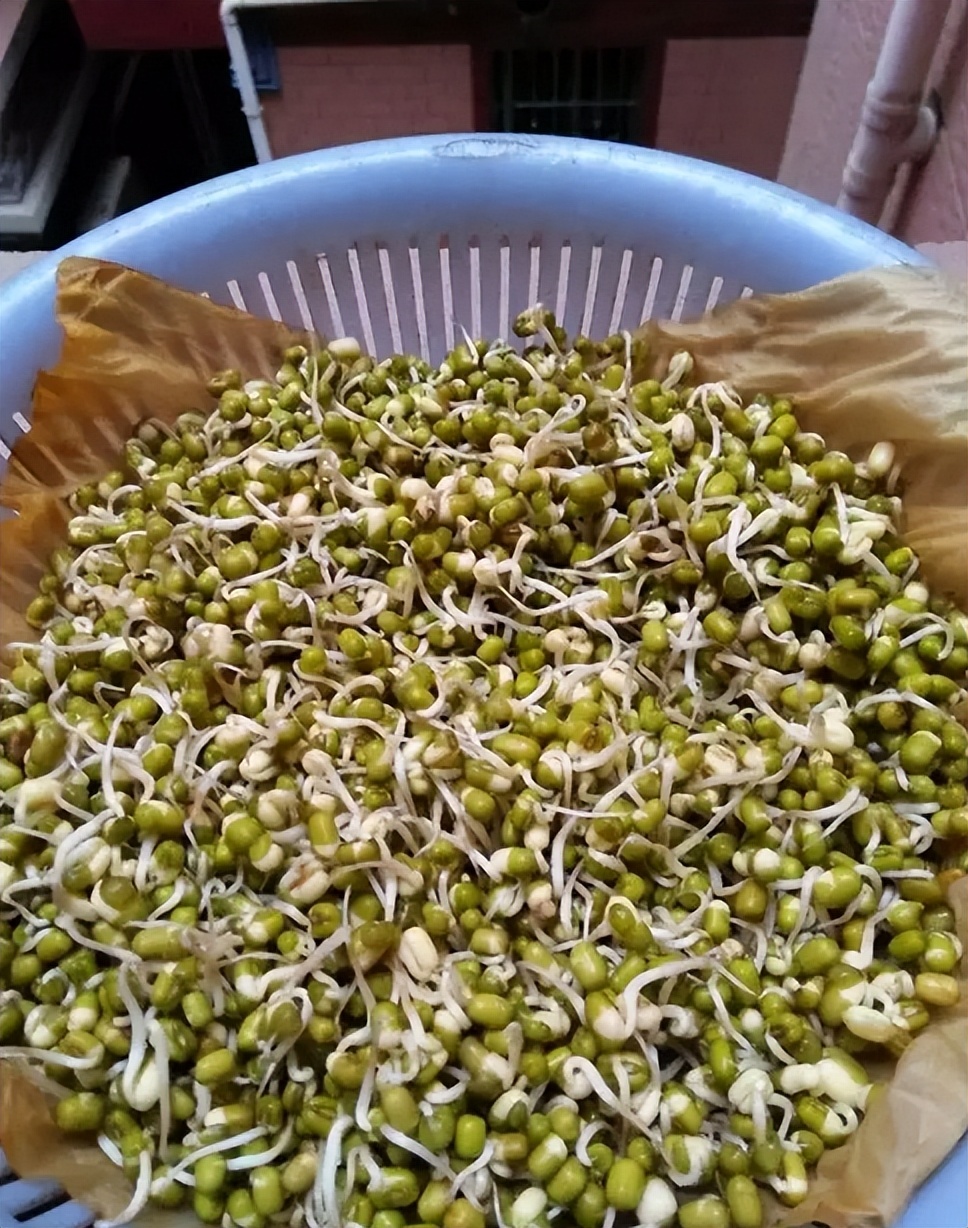 自制免浇水发豆芽,自己怎么做发豆芽神器