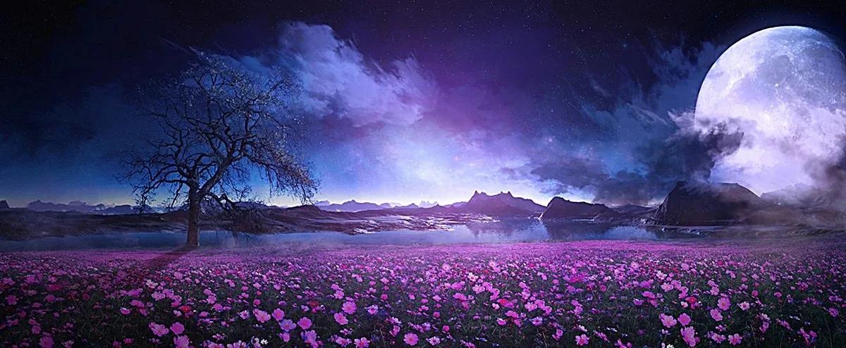 刀锋人生的意义,刀锋人生内容