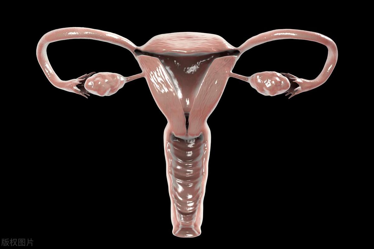 关于女生的小秘密你都知道几个,关于女生的小秘密你知道几个