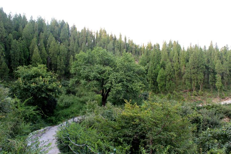 山东青州黄花溪景区图片,山东九寨沟黄花溪