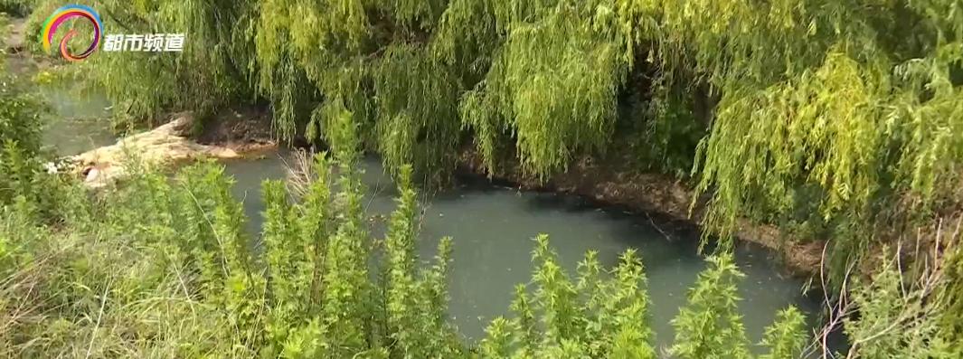 水库鱼死亡原因判断,水库捞鱼死亡水库有责任吗