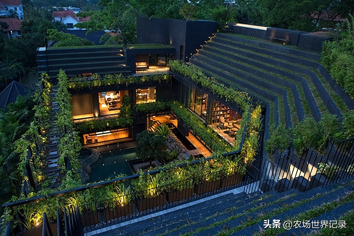 最高效庭院经济模式,发展庭院经济的模式