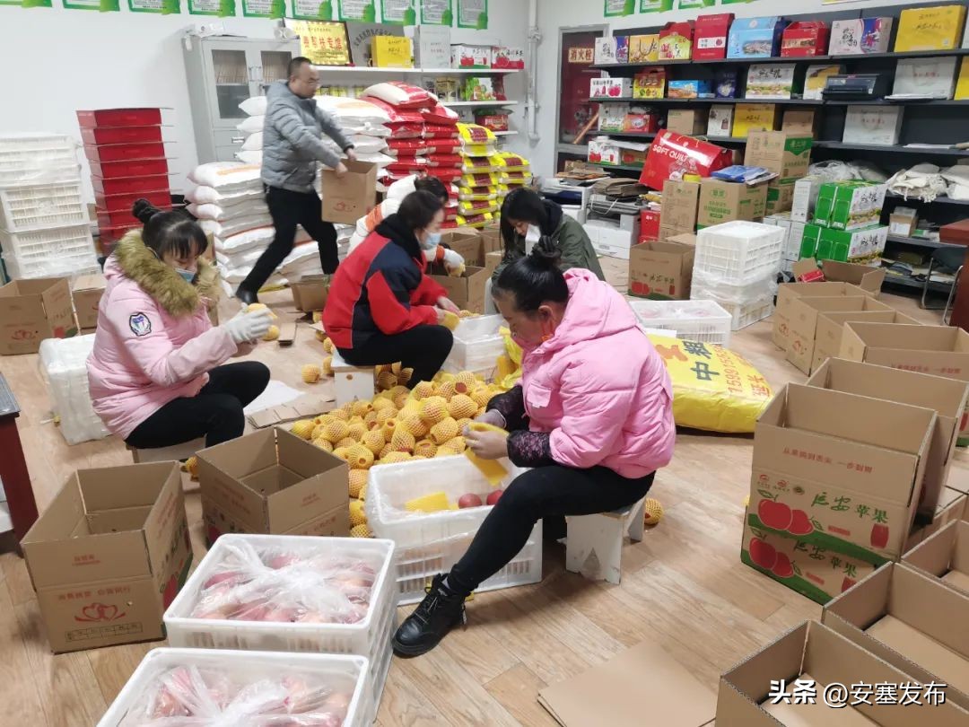 激发人才活力助力乡村振兴,以人才集聚引领乡村振兴发展