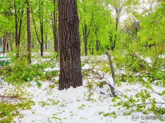 霜降寓意着天气逐渐变冷,今年霜降日是什么预兆