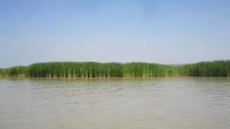 甲癌感恩的话,甲友心声抗癌15年