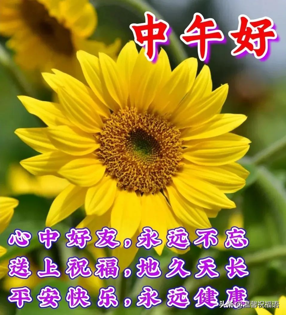 12月12日漂亮早上好问候动态图片最新版周一最美早安祝福图片大全