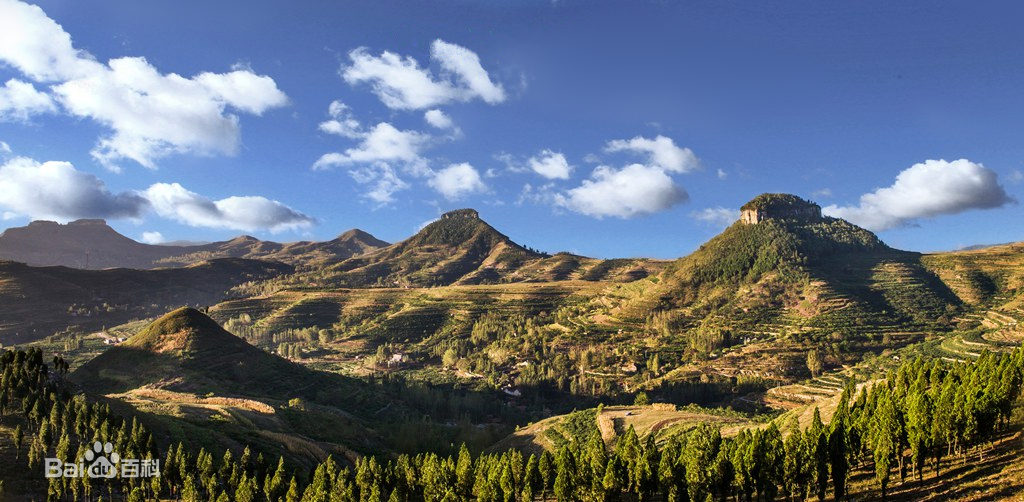 临沂vs东营谁赢了,临沂和郯城打过仗吗