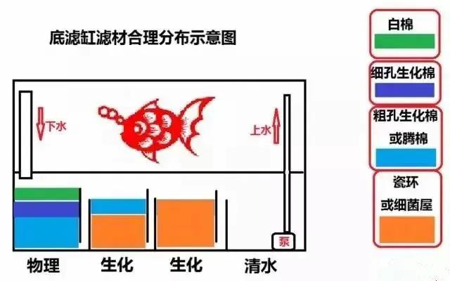 新手养金鱼适合什么鱼缸,养金鱼的鱼缸怎么样选择