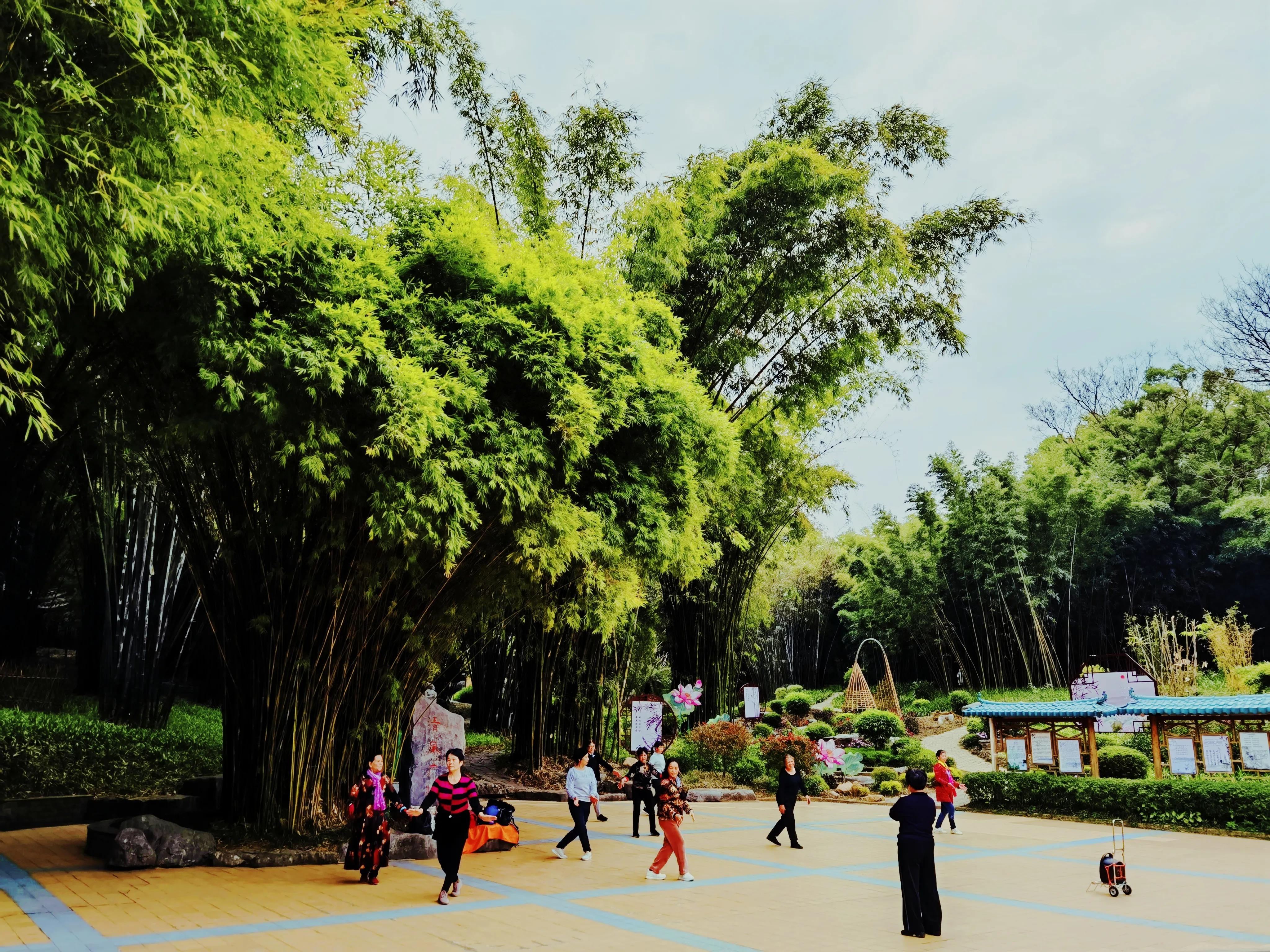 南宁的新南北方饮食差异,一个北方人的印象