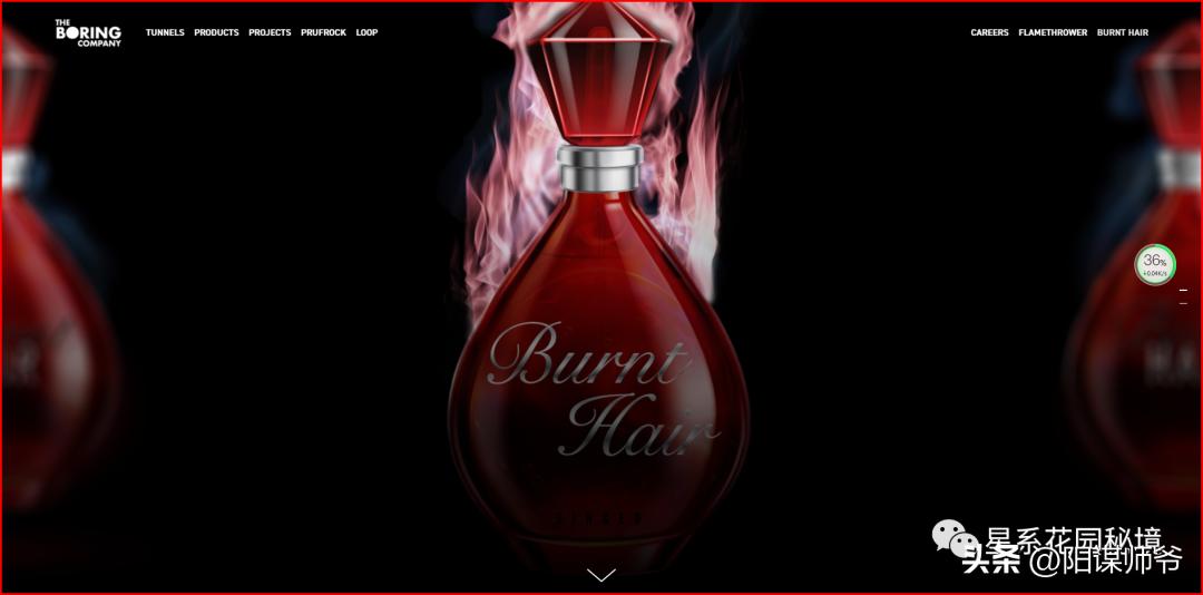 马斯克一开始没钱谁给投资,马斯克没有钱之前做什么