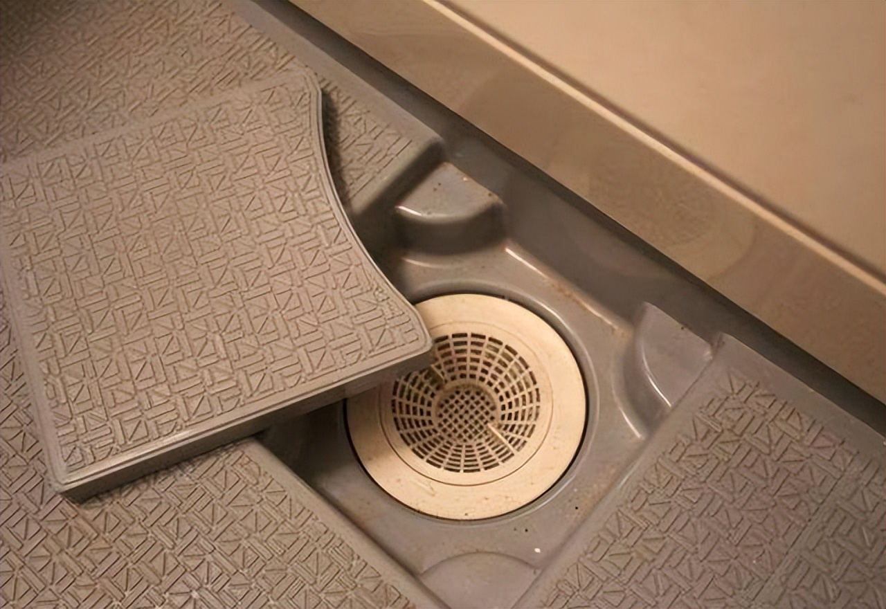 卫生间的小虫子有哪些危害,卫生间面盆下水道有小虫子怎么办