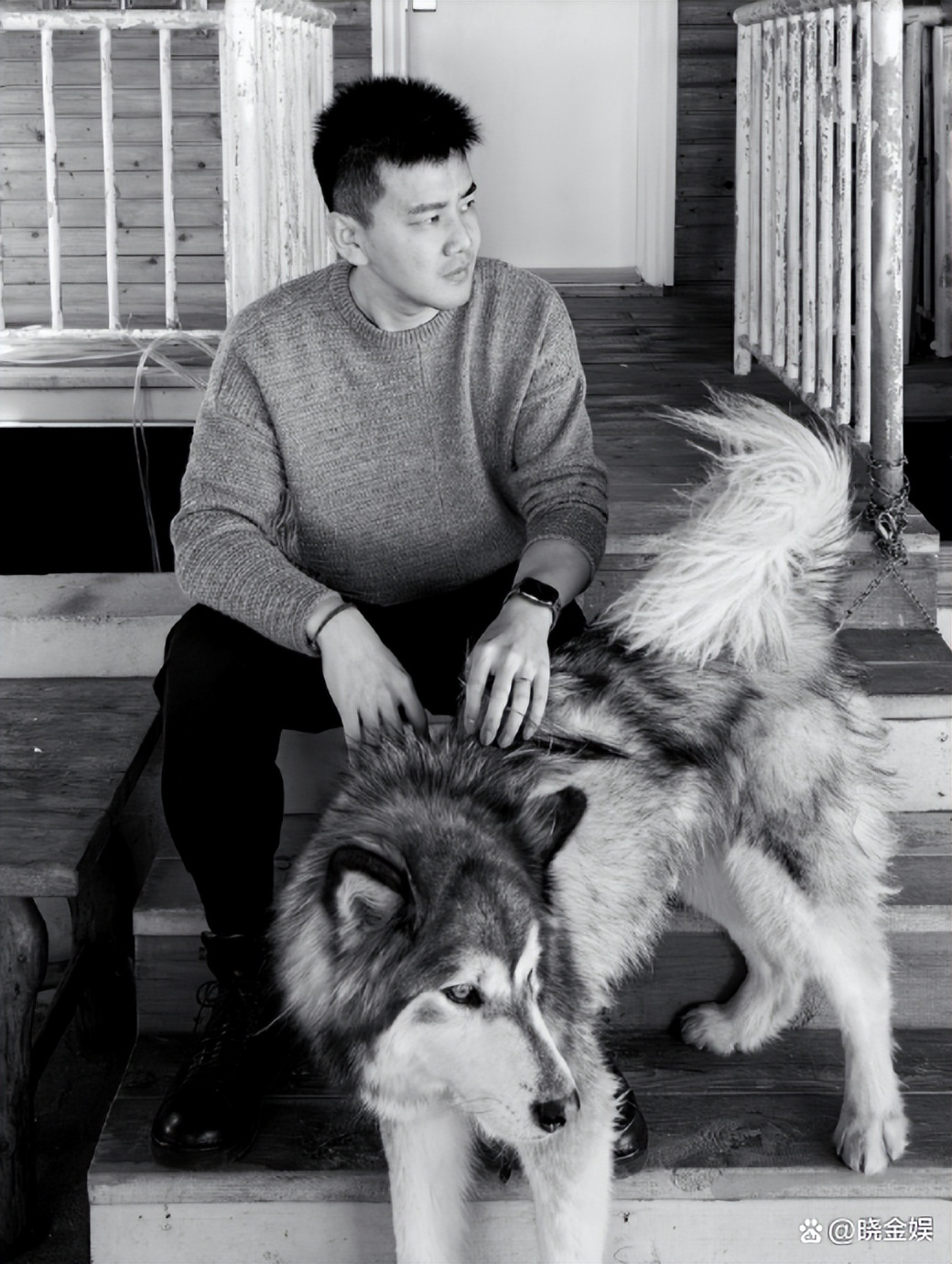 严於信：春节补休到福建，带着自己的哈士奇宠物狗尽享海边慢时光