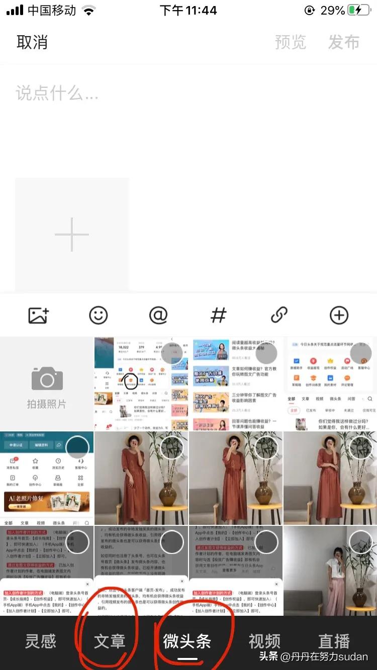 头条发文要选投放广告才有收益吗,头条发文有多少粉丝才能有收益