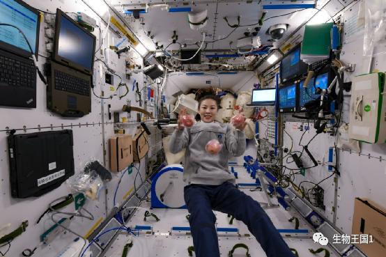 中国空间站与国际空间站尺寸对比,国际空间站与中国空间站内部对比