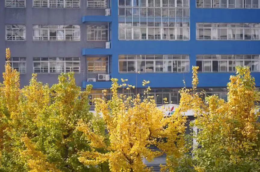 盘点一下成都排名前十小学,成都5朵金花哪个初中好