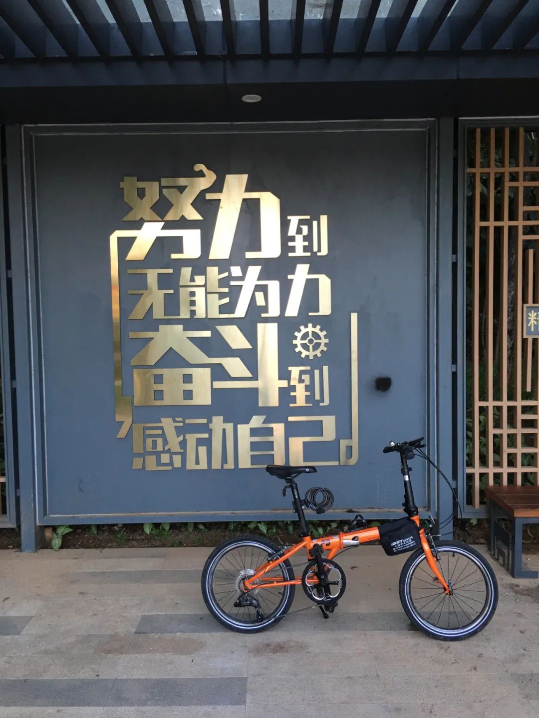 《旭光骑行深圳》第21站——龙华区龙华街道