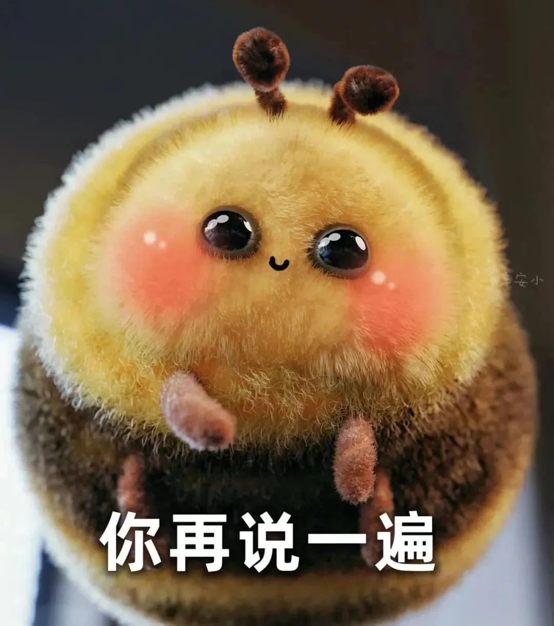 蜜蜂bee表情包,肿脸蜜蜂表情包