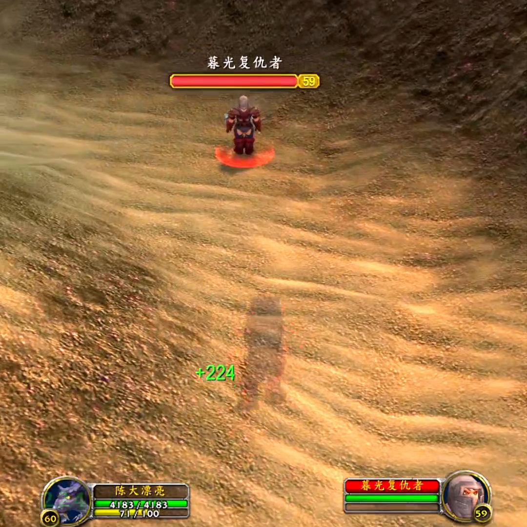 硬核模式德鲁伊1-20,魔兽世界正式服德鲁伊深度解析