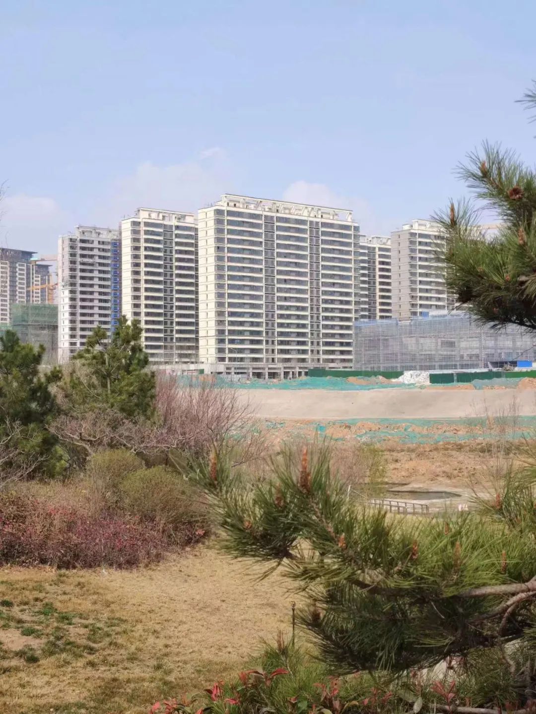 远洋潮起东方会烂尾吗,远洋潮起东方真实情况