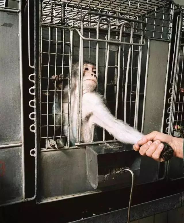 离天堂最近的地方高加索,俄罗斯的天堂在哪里