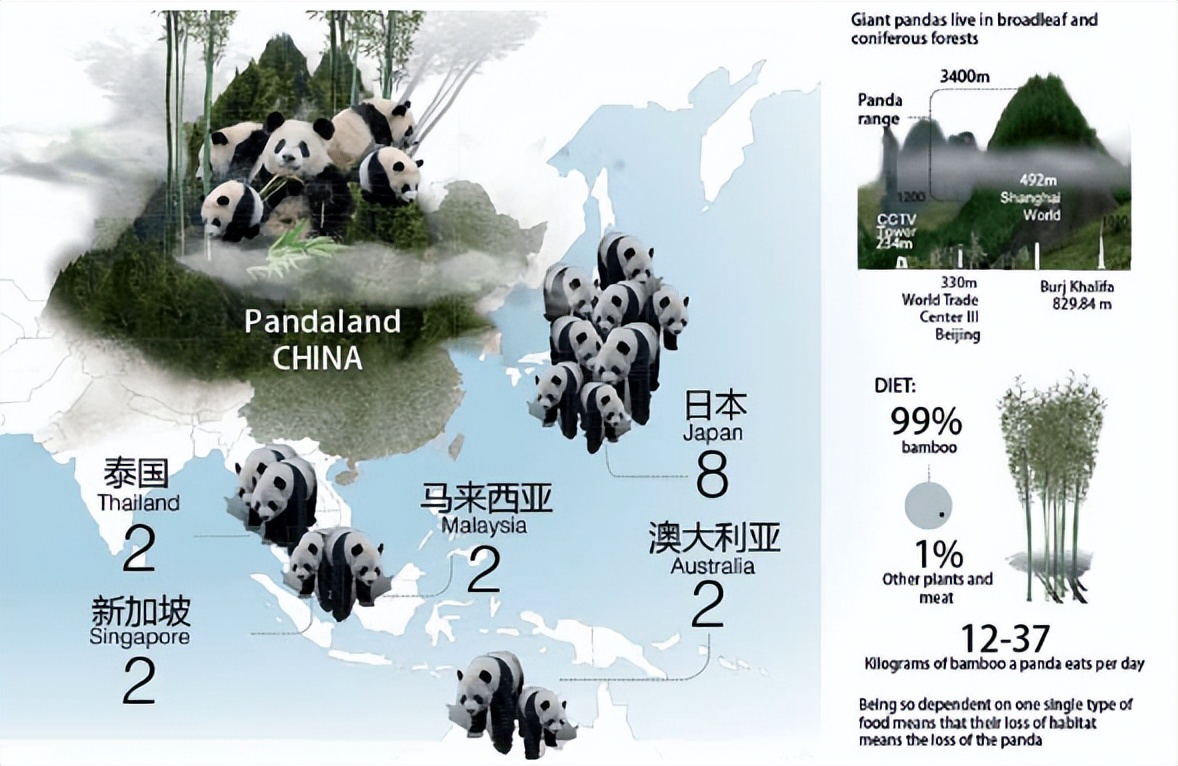 印度屡次向中国求借大熊猫遭拒，卡塔尔却一次成功？背后有何原因