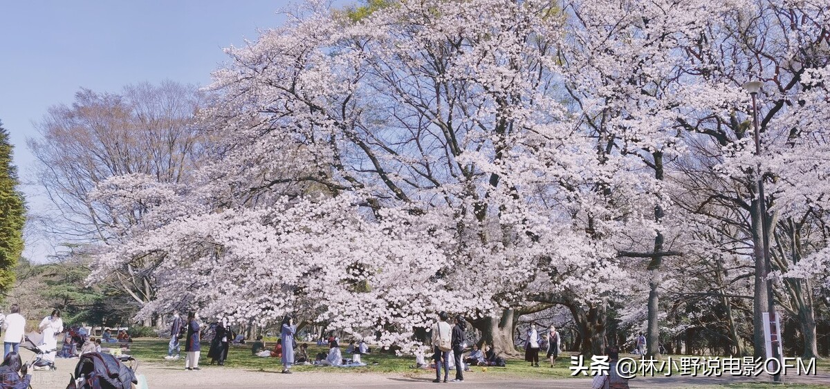 高仓健和谁在一起,高仓健的感情史