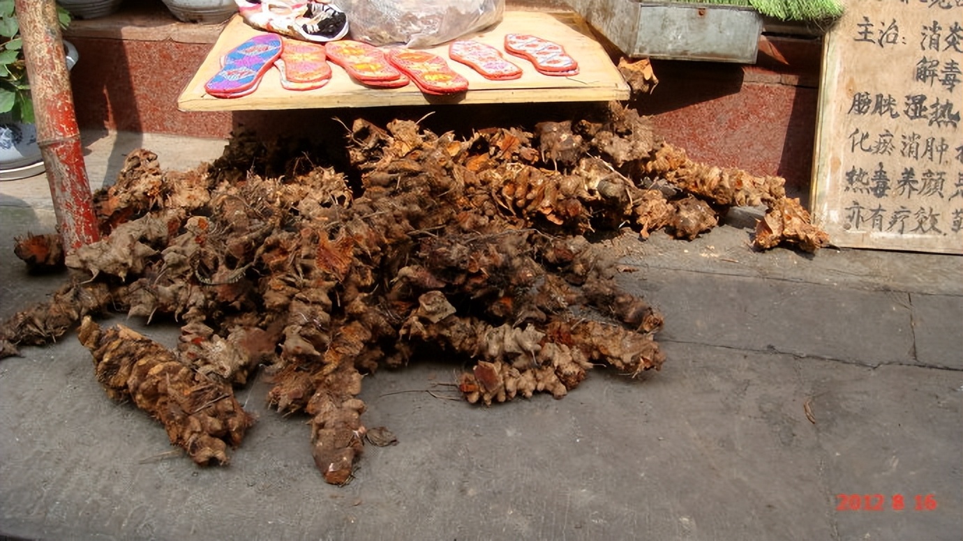 自驾游川藏:二、难舍上里古镇