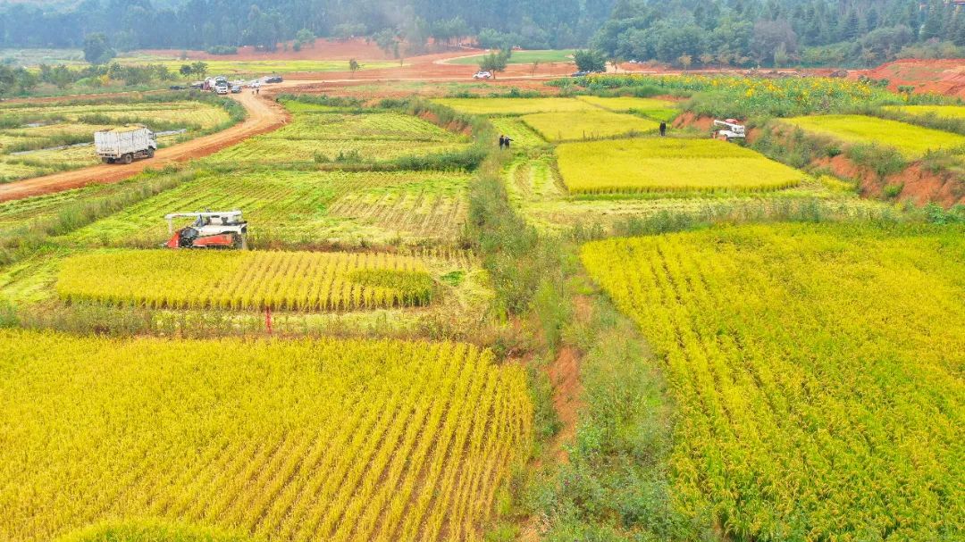 在休闲度假区有什么项目可操作,快来看看哪些项目更受欢迎