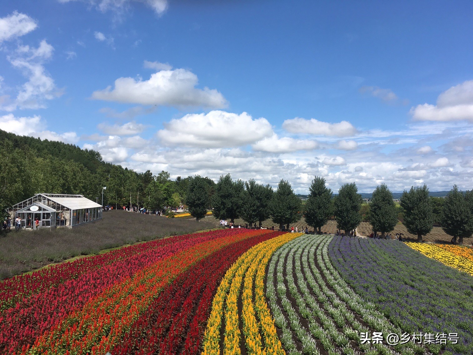北海道上野农场,日本北海道上野农场