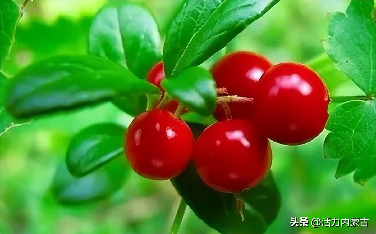 哪里开始供暖了,现在哪里供暖了